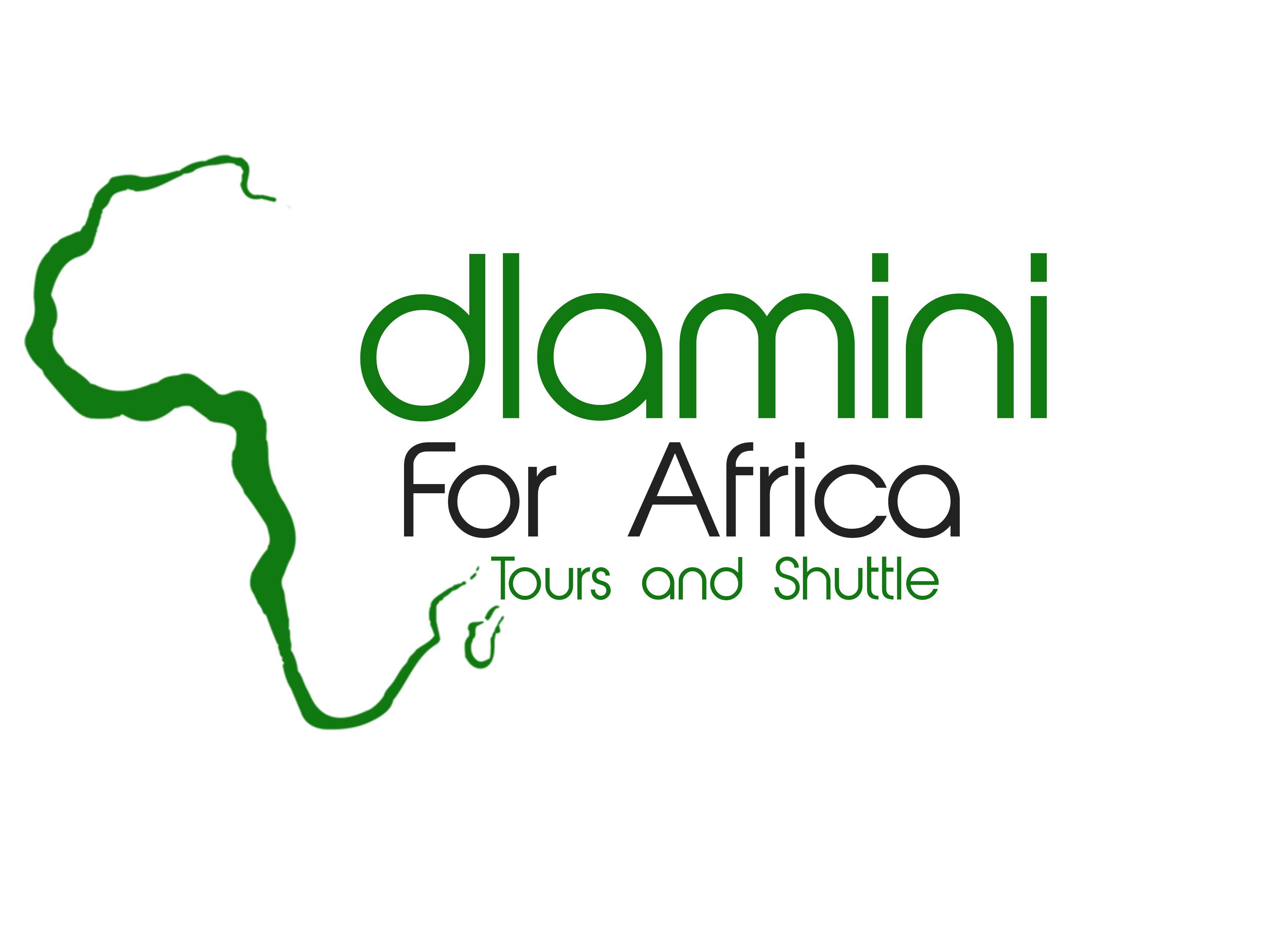 dlamini4africa